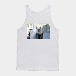 the gray and white ragdoll cat chills Tank Top